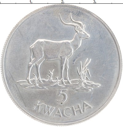 

Монеты Клуб Нумизмат, Монета Замбия 5 квач 1979 Серебро UNC-