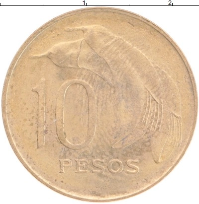  фото 1