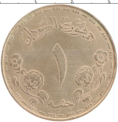 

Монеты Клуб Нумизмат, Монета Судан 1 фунт 1987 Центральный банк Бронза XF