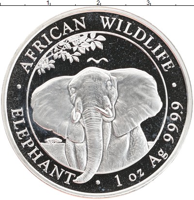 

Монеты Клуб Нумизмат, Монета Сомали 100 шиллингов 2021 Африканская дикая природа - Афри...