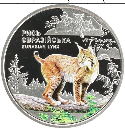  фото 1