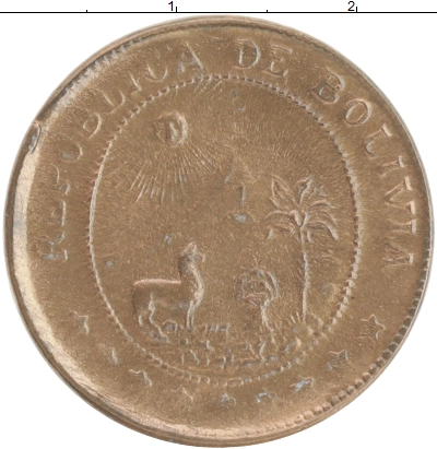  фото 2