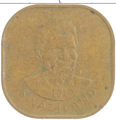  фото 2