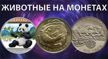 Видео: Животные на монетах мира