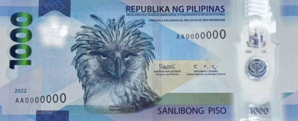 Фото Филиппинский орел на