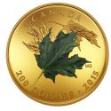 Читать новость нумизматики - Набор монет Канады из золота с кленовым листом