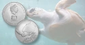 Читать новость нумизматики - Инвестиционная монета с морской черепахой