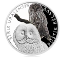 Читать новость нумизматики - «Длиннохвостая неясыть» - новая монета Чехии 2017