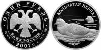 Юбилейная монета 
Кольчатая нерпа (ладожский подвид) 1 рубль